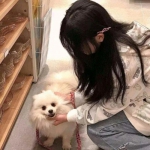 明日之后华为版下载